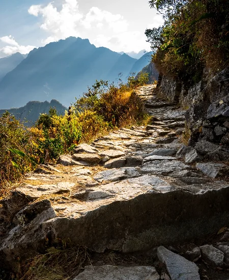 Ancient stone path surrounded by wild vegetation on an Andean hillside, illuminated by the golden light of dawn, with majestic, misty mountains in the background.