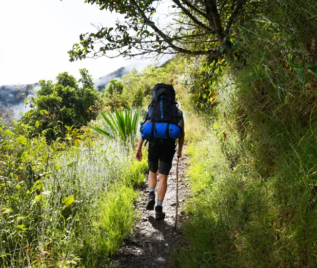 Woman hiking the final forested path towards Machu Picchu after completing the Salkantay Trek | Conde Travel Adventures