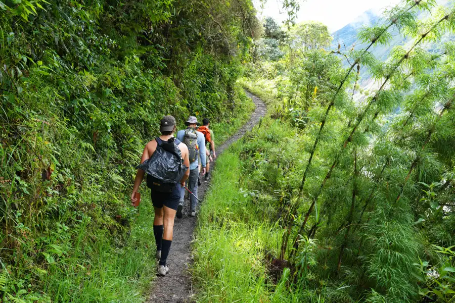 Group of hikers walking in line along a narrow forest trail surrounded by tropical vegetation | Conde Travel Adventures