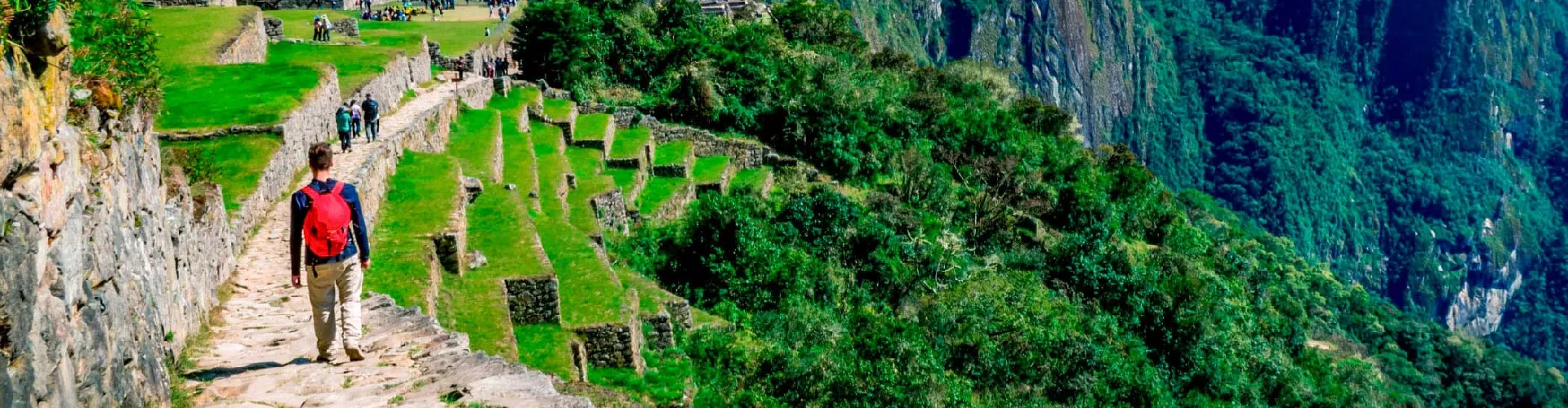 Tourist walking along a cobbled path between Inca terraces in Machu Picchu, surrounded by Andean vegetation and green mountains, on a sunny day in Peru.