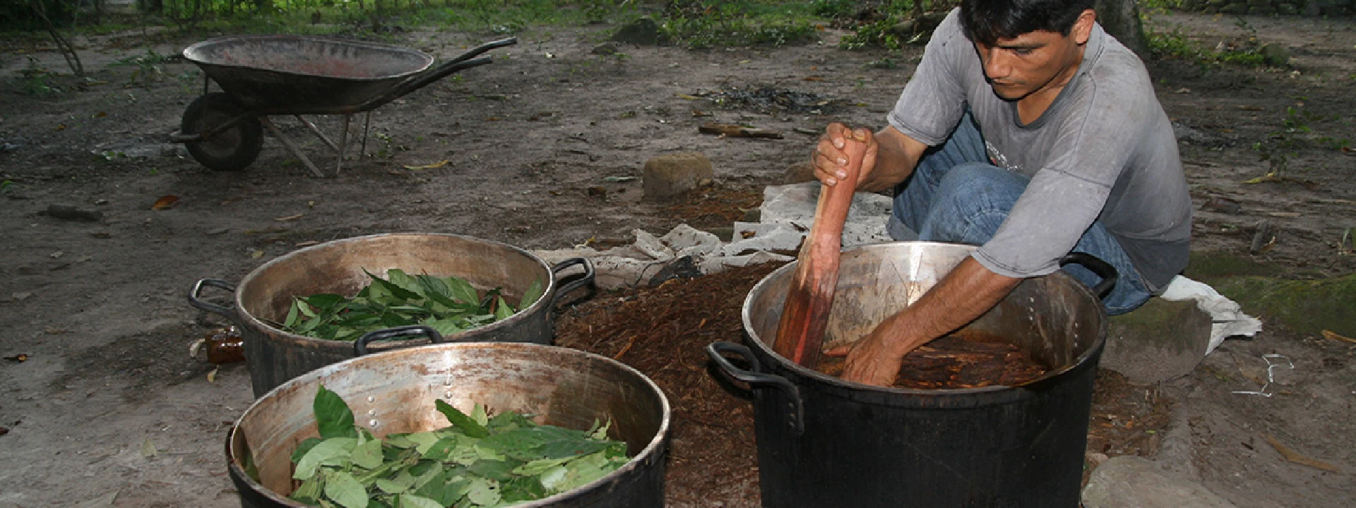 Traditional ayahuasca preparation with leaves and shaman in Peru | Conde Travel Adventures