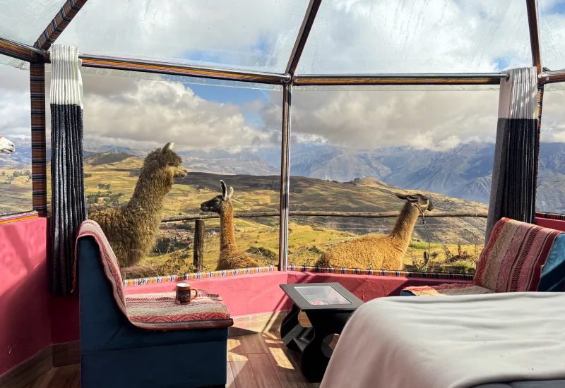 Luxury lodge experience in the Sacred Valley surrounded by alpacas and mountain views | Conde Travel Adventures 